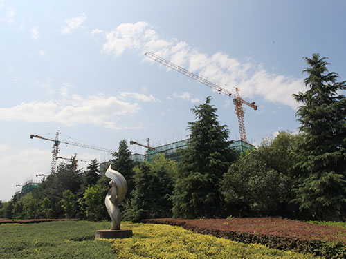 湖南大力建設(shè)機械工程股份有限公司,塔式起重機,施工升降機,物料升降機哪里好,大力建設(shè)
